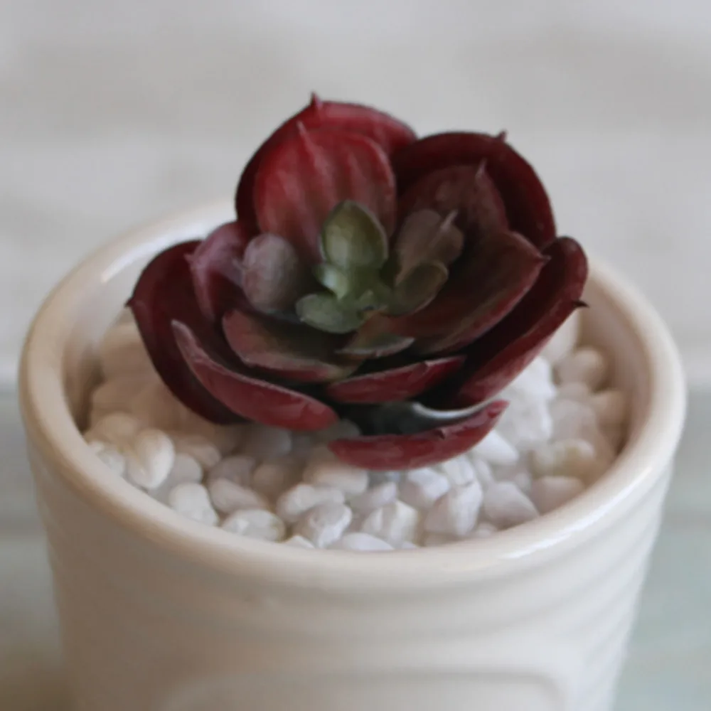 7 видов искусственных суккулентов растения лотоса трава пустыня пейзаж