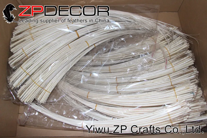 

50pieces/lot 50-60cm(20-24inch) ZPDECOR Feather New Decolor Rare Ostrich Quill Spines white For decorative handicrafts