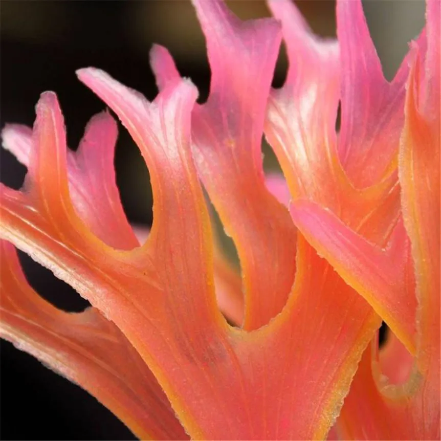 Нетоксичные Декоративные искусственные водоросли для аквариума украшение воды