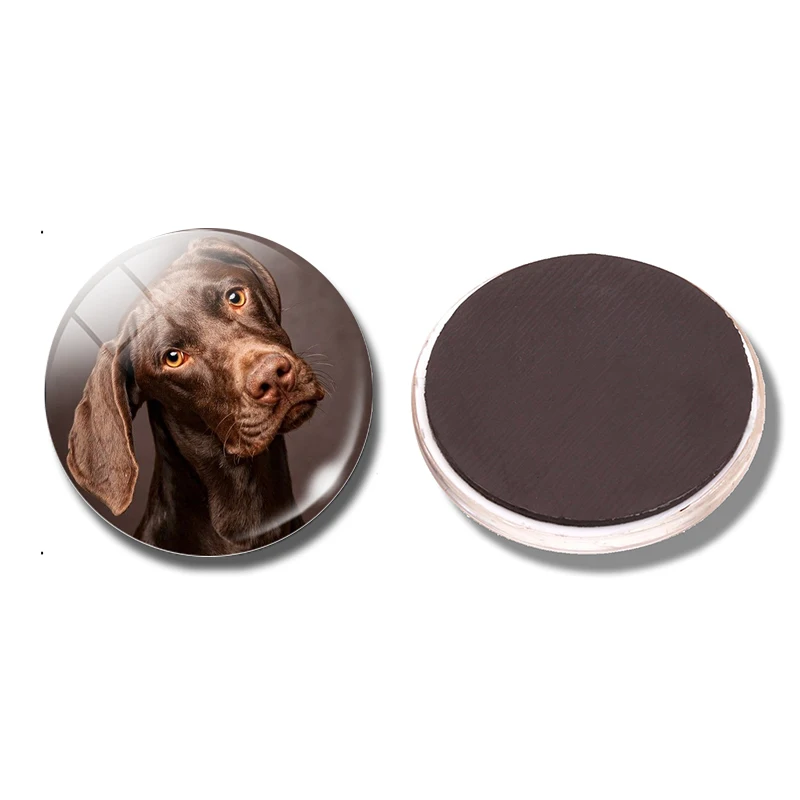 PACK OF 1 Милая Собака 30 мм магнит на холодильник смешная собака Любовник подарок стеклянный купол магнитные наклейки на холодильник держатель для заметок украшение дома - Цвет: PACK OF 1