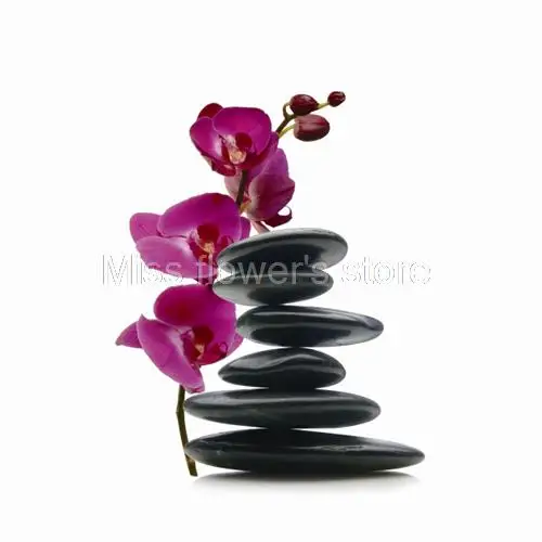 Водонепроницаемая занавеска для душа из полиэстера 12 крючков 180x180 см | Дом и сад