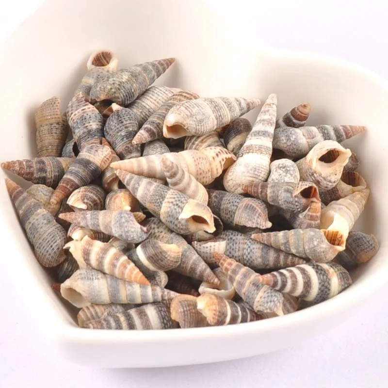 100 шт. натуральные полоски спиральные ракушки для скрапбукинга ремесленные