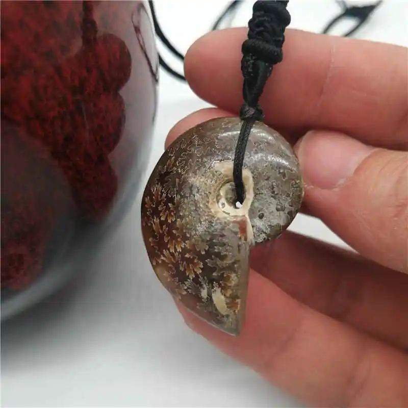 Wholesale 1PC Natural conch pendant snail leaf fossil ammonite hanging piece lucky crystal stone screw transporter | Украшения и