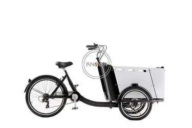 Good used Kids pedal version or electric bicycle bike cargo tricycle bike street food cart