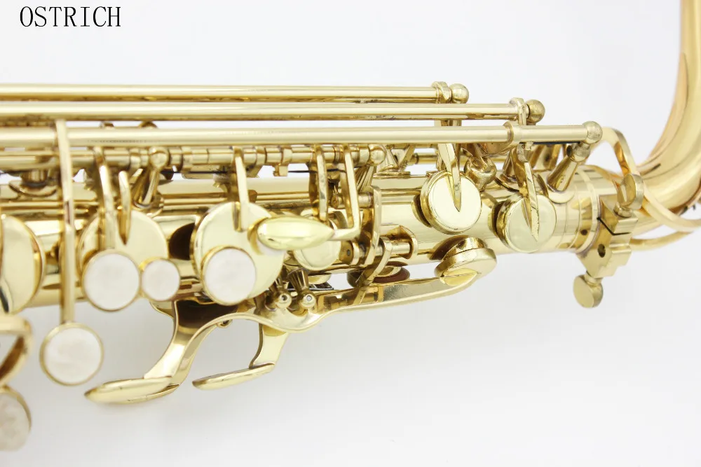 

Brand New Ostrich Alto Saxophone Brass with Case and Accessories +
