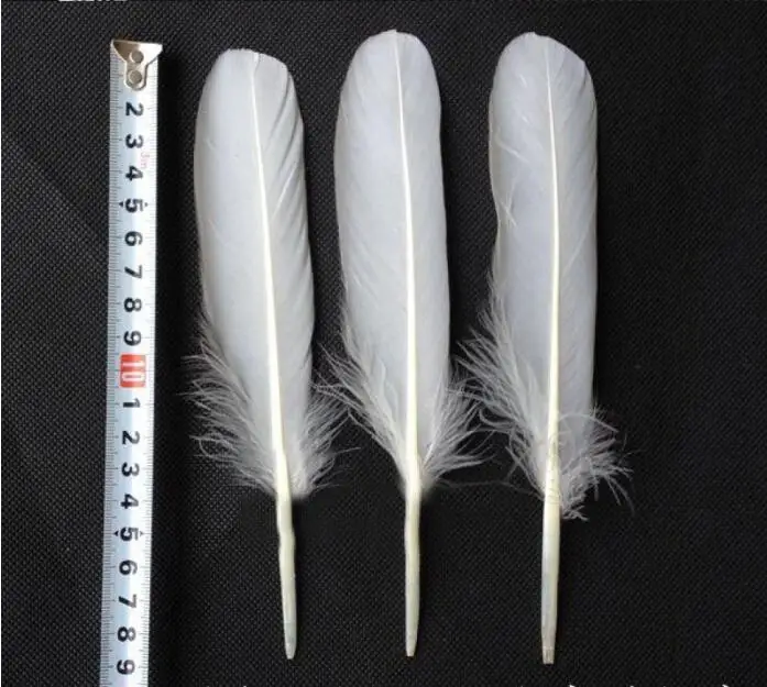 100pcs/lot 15-20cm/6-8inch White Goose Feather geese feathers Hat Headdress Accessory Jewelry Necklace DIY Party Decoration | Дом и сад