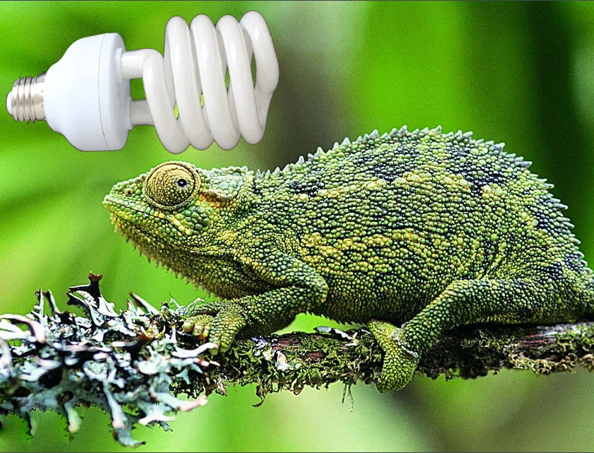 Компактная люминесцентная лампа для рептилий Vivarium UVB 5 0 UVA UV 13W E27 винтовая P415|uvb