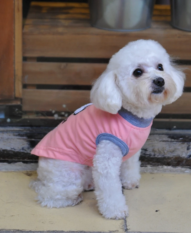 Милая летняя одежда для домашних животных собак 100% хлопок большой глаз