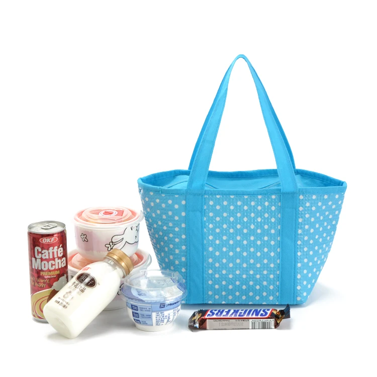 Водонепроницаемая маленькая сумка-холодильник для ланча пикника свежая