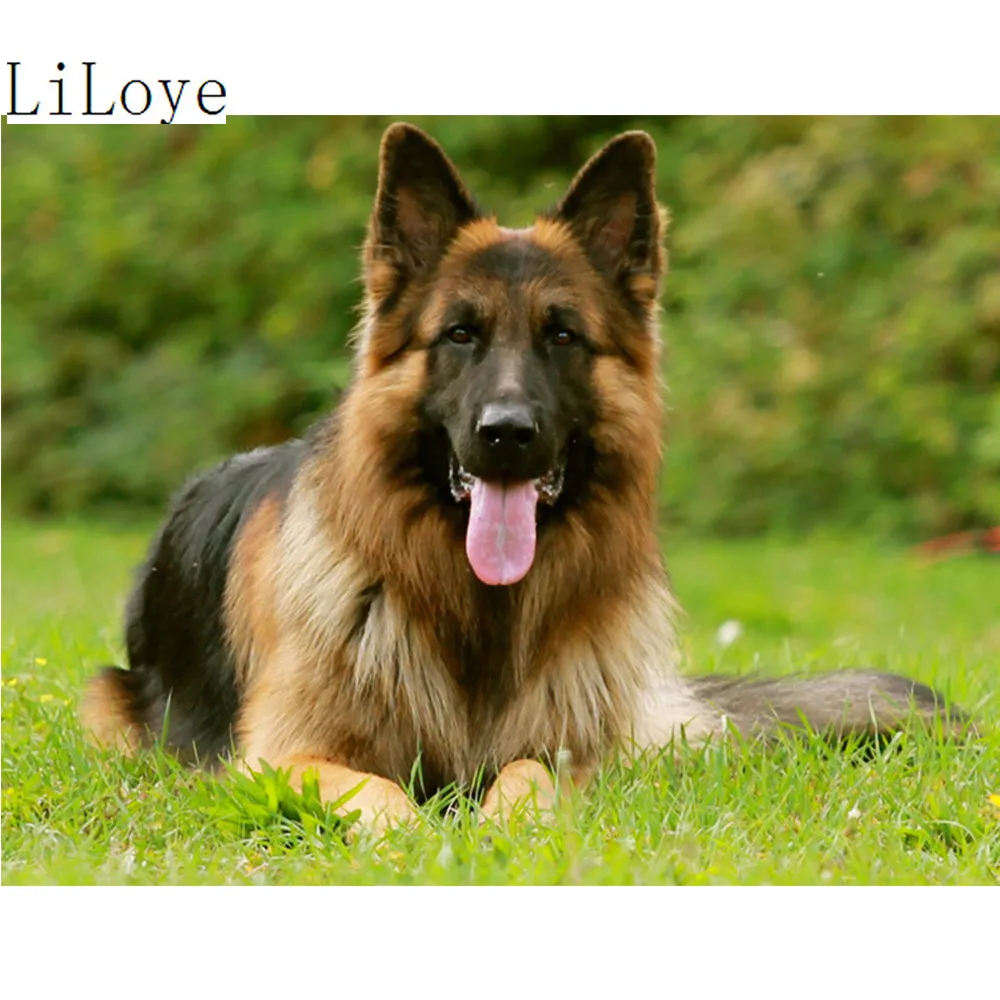 

LI Лойе Вышивка крестом полная Алмазная Стразы картина домашний декор DIY 5D алмазов картина с принтом «Собака», алмазная вышивка FZ464