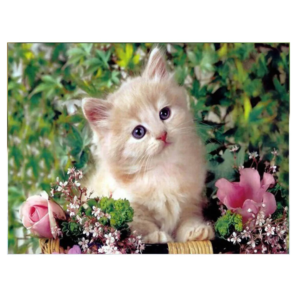 5d алмазная живопись кот Алмазная вышивка животные фото продажи мозаика природа