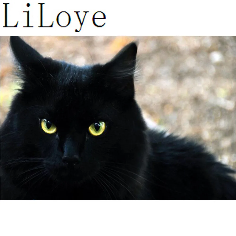 

LI LOYE Diamond Embroidery icon 5D DIY Diamond Painting Cross Stitch Black cat Full Diamond Mosaic Home Decor DIY Paintings Q997
