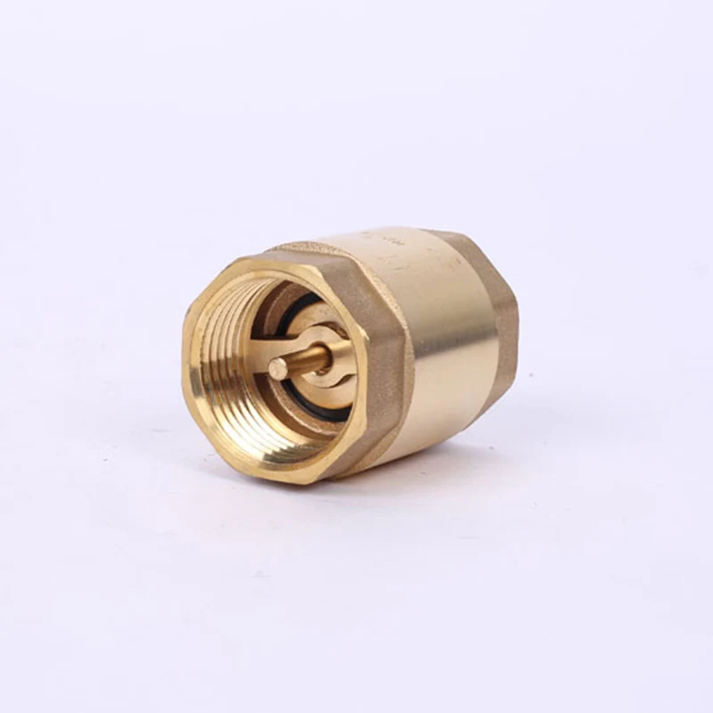 

'The Best' Brass In-line Spring Check Valve Thread One Way Check Valve for Liquid Gas 889