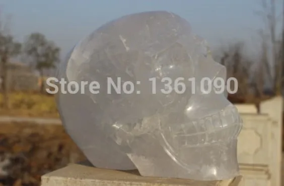 YM 314 Тибетский искусственный череп Резьба Радуга | Дом и сад