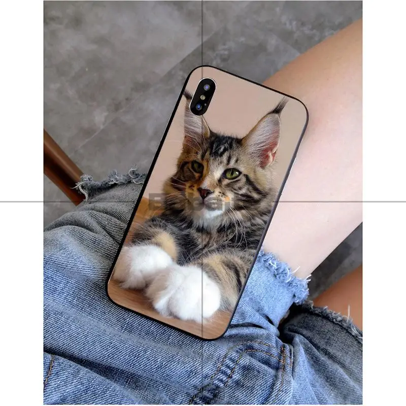 A8 Babaite pet мейн-кун кошка черный мягкий силиконовый чехол для телефона чехол для Apple iPhone 8 7 6 6S Plus X XS MAX 5 5S SE XR Чехол для мобильного телефона s - Цвет: A8