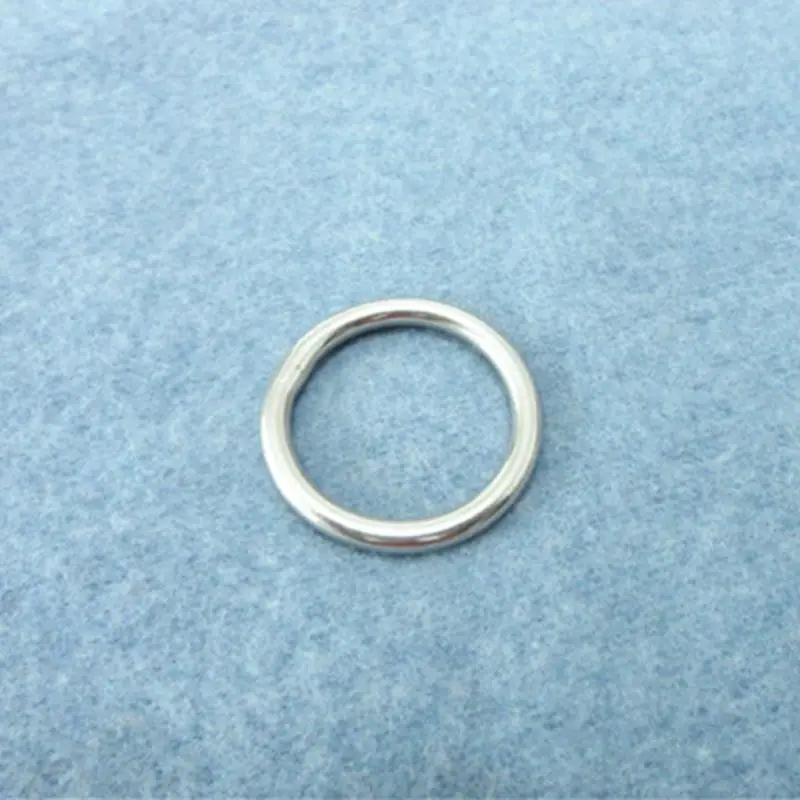 

10PCS Stainless Steel Rings Hardware Round Buckles Round Ring Webbing Buckles Welded Inside Diameter 25mm Bags hardware