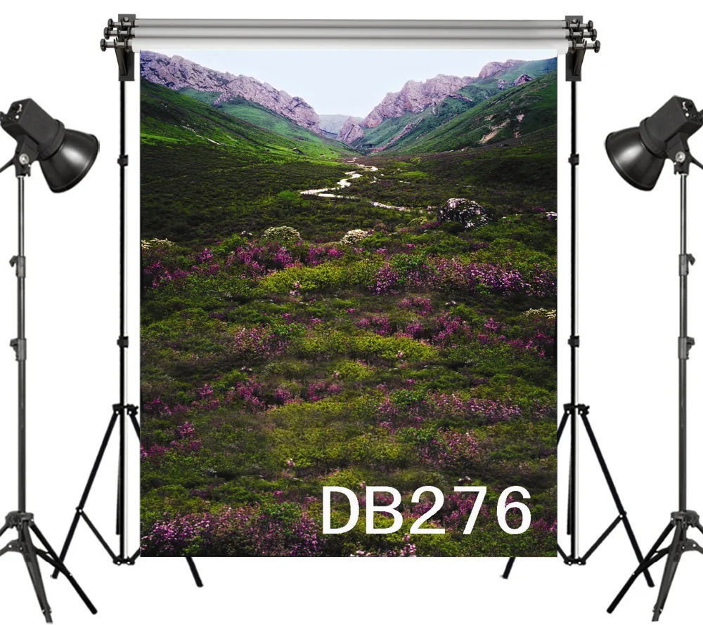 LB полиэстер и Винил фоны для фотосъемки с изображением гор леса Шато