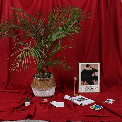 Бордовый 4x2,4 м Morandi цветные INS фотофоны для фотостудии тканевый фон для портретной съемки в Интернете прямые трансляции - Цвет: Бордовый