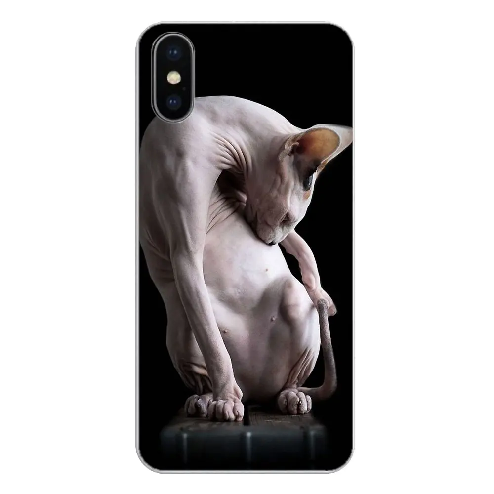 Силиконовый чехол для телефона Friendliest sphynx cat kitty Poster Huawei P20 Lite Nova 2i 3i 3 GR3 Y6 Pro Y7 Y8 Y9 Prime