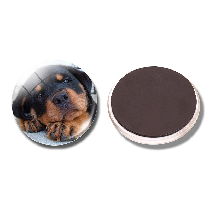 PACK OF 1 Милая Собака 30 мм магнит на холодильник смешная собака Любовник подарок стеклянный купол магнитные наклейки на холодильник держатель для заметок украшение дома - Цвет: PACK OF 1