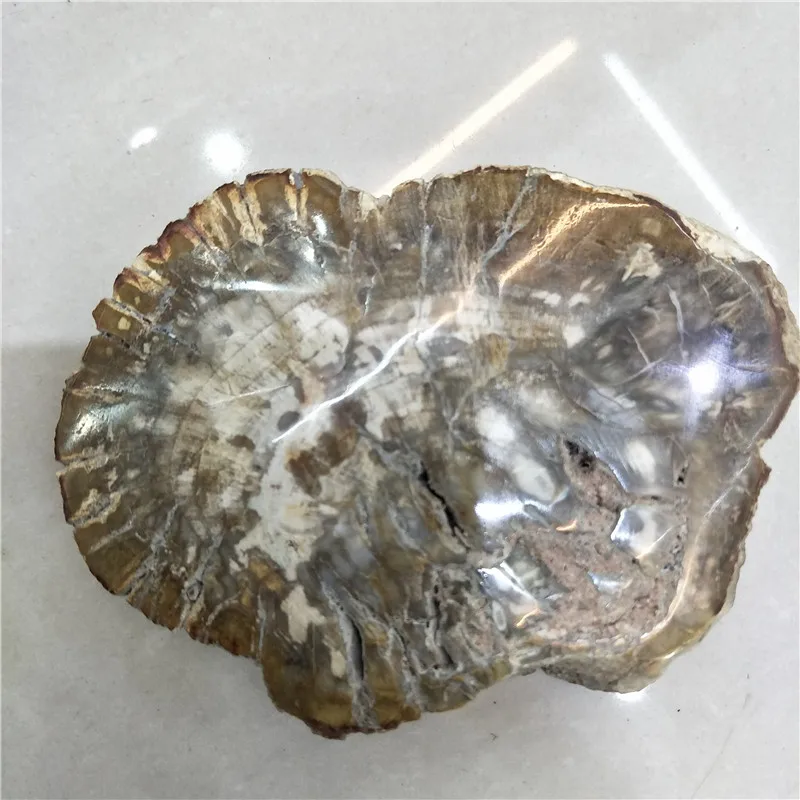 Натуральный камень и хрустальный каменный fossil tree для coaster украшения дома|Камни| |