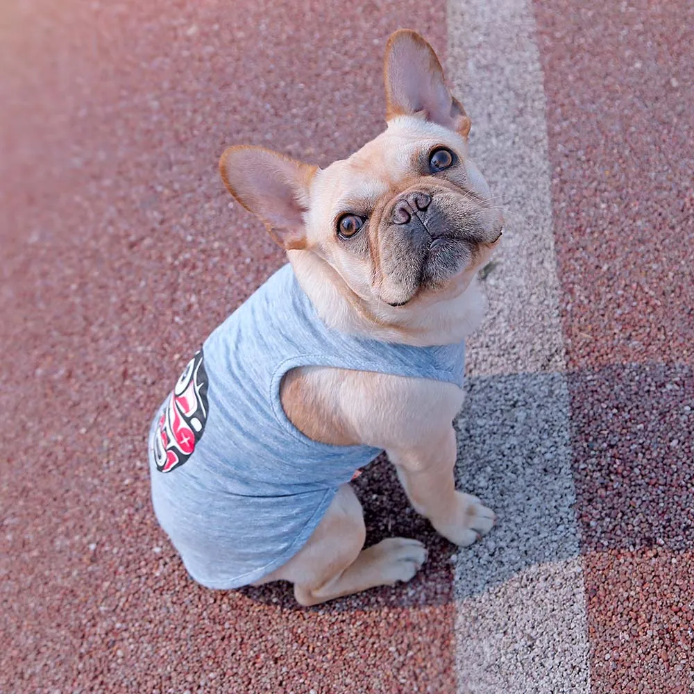 Милый жилет HOOPET для питомцев летняя одежда щенков собак и кошек футболка три