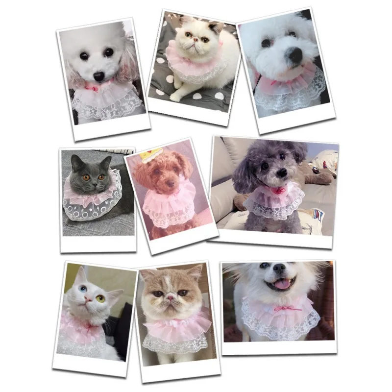 

Pet Products