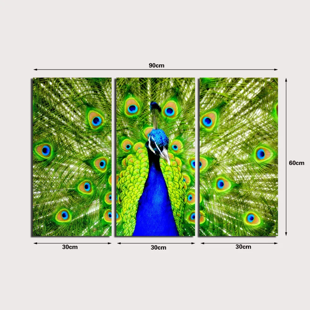 3 Панели печатная картина павлин холст Настенная украшение для дома гостиная