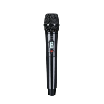 Takstar TS-8808 UHF беспроводной микрофон двухканальный ЖК-дисплеи для классных комнат, караоке, Домашние развлечения, производительность в режиме реального времени