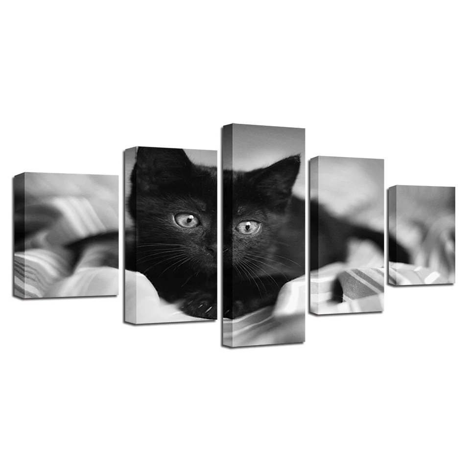 Фоторамка с модульной художественной печатью 5 шт. животные Черный кот постеры
