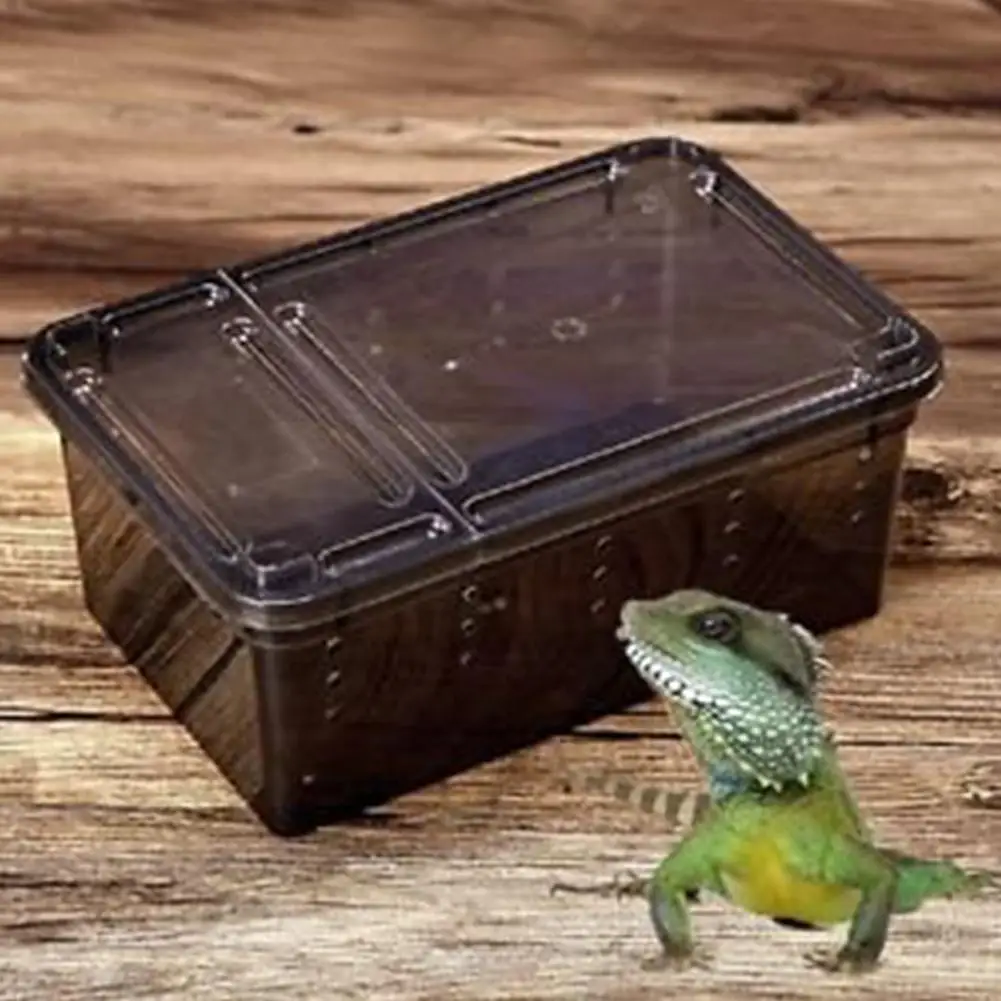Высокое качество Reptilian короб Escape proof прозрачный Паук Рог лягушка черепаха змея