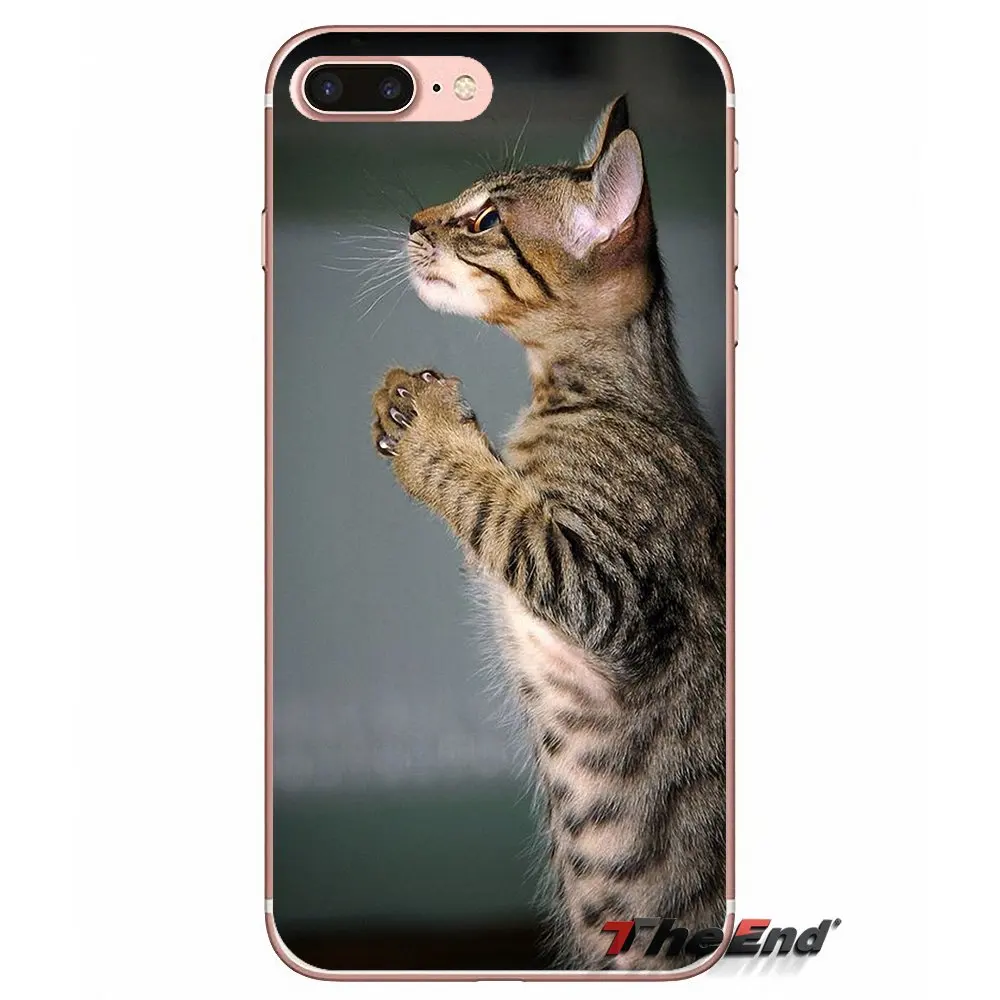 Силиконовый чехол для Samsung Galaxy J1 J2 J3 J5 J7 A3 A5 A7 2015 2016 2017 J530 J730 Fundas Coque Pretty moly kitта Коты |