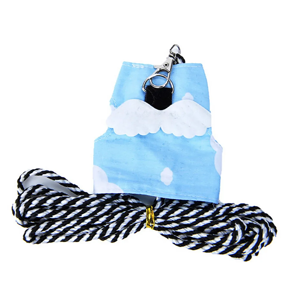 Cute Squirrel Harness Leash Small Pet Vest Suit Outdoor Jogging 1pcs Chest strap With1pcs traction rope Dog Supplies@30 | Дом и сад