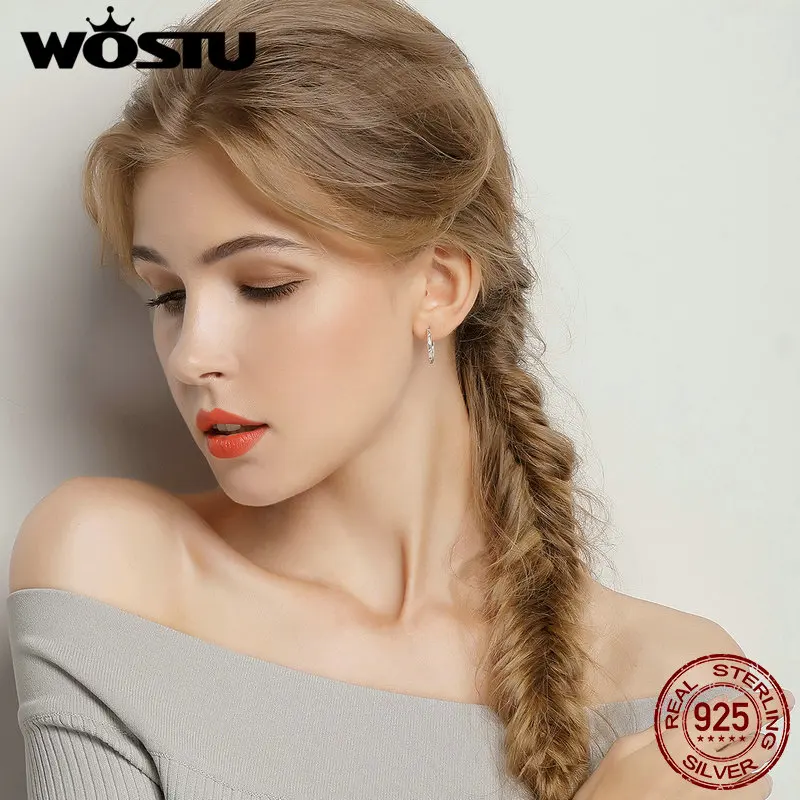WOSTU Настоящее серебро 925 пробы прозрачный CZ круглый крючок серьги-гвоздики минималистский для женщин Свадебные украшения подарок