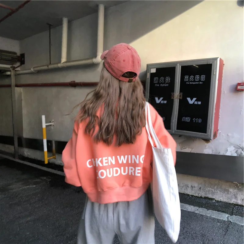 WY044 корейский свитер с капюшоном Осень Новый harajuku Свободные толстовки для женщин