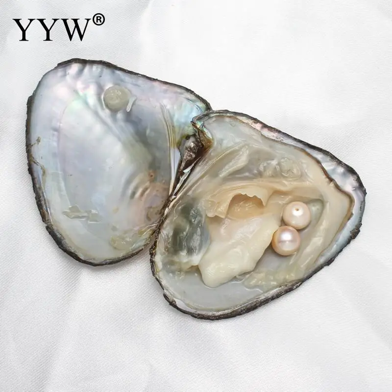 Вакуумная упаковка пресноводных жемчужин Oyster Wish 8-9 мм жемчужин внутри оболочки для ювелирных изделий DIY серьги бусины и таинственный подарок