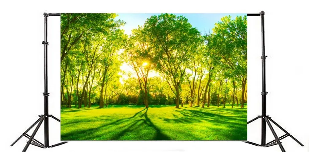 

Photography Backdrop Nature Landscape Trees Grass Field Blue Sky Sunshine Travel