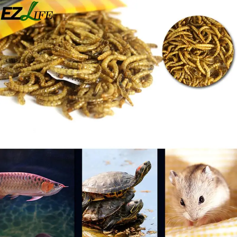 EZLIFE аквариум для черепахи рыбный корм, палочки гранулы сушеные рыбы креветки хлеб черви рептилия Террапин черепаха еда PXP1999#109