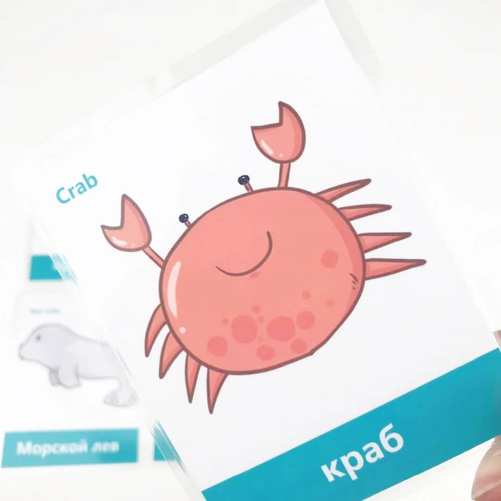 DDWE 13 шт. обучающие игрушки для детей с русским английским морским животным флеш