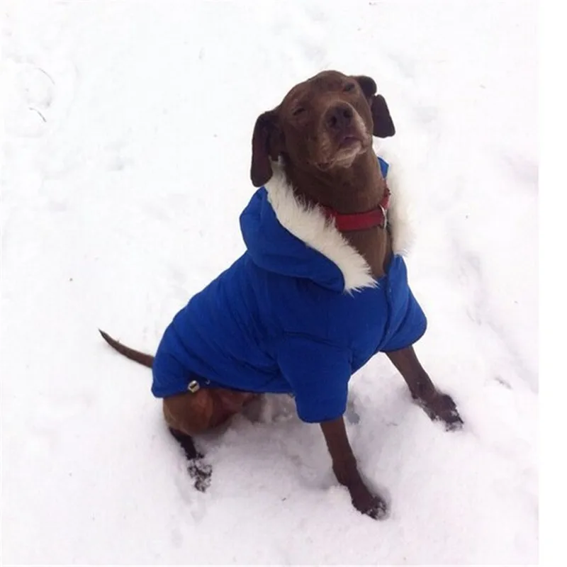 Блестящее большое пальто для собак крупных пород Водонепроницаемая кофта с