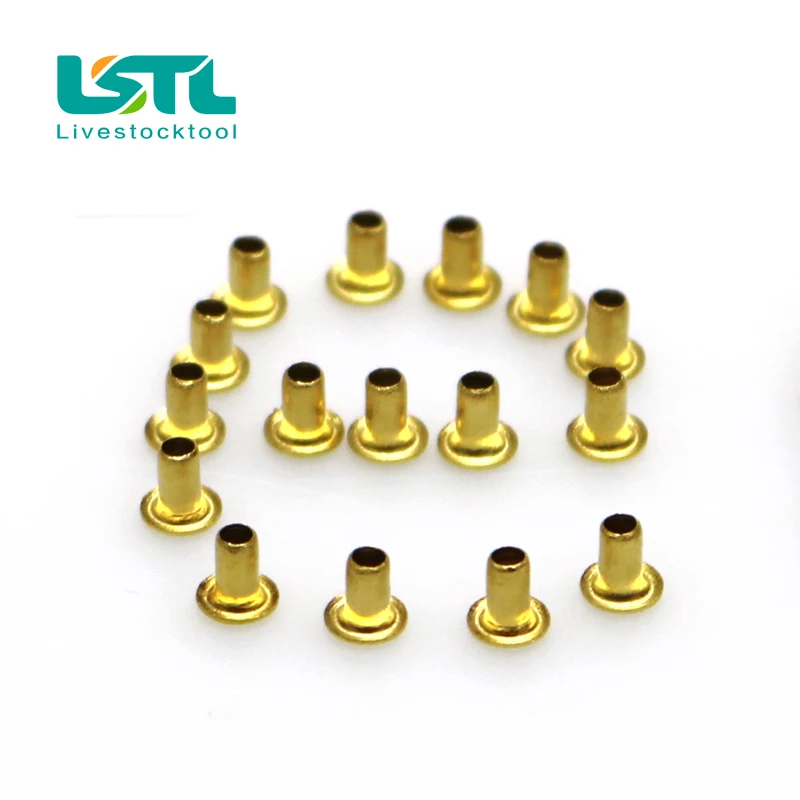 

3300 Pcs Queen Bee Nest Hole Threading Hole Bee Cell Nest Foundation Copper Eye Beekeeping and bee Toolsd20