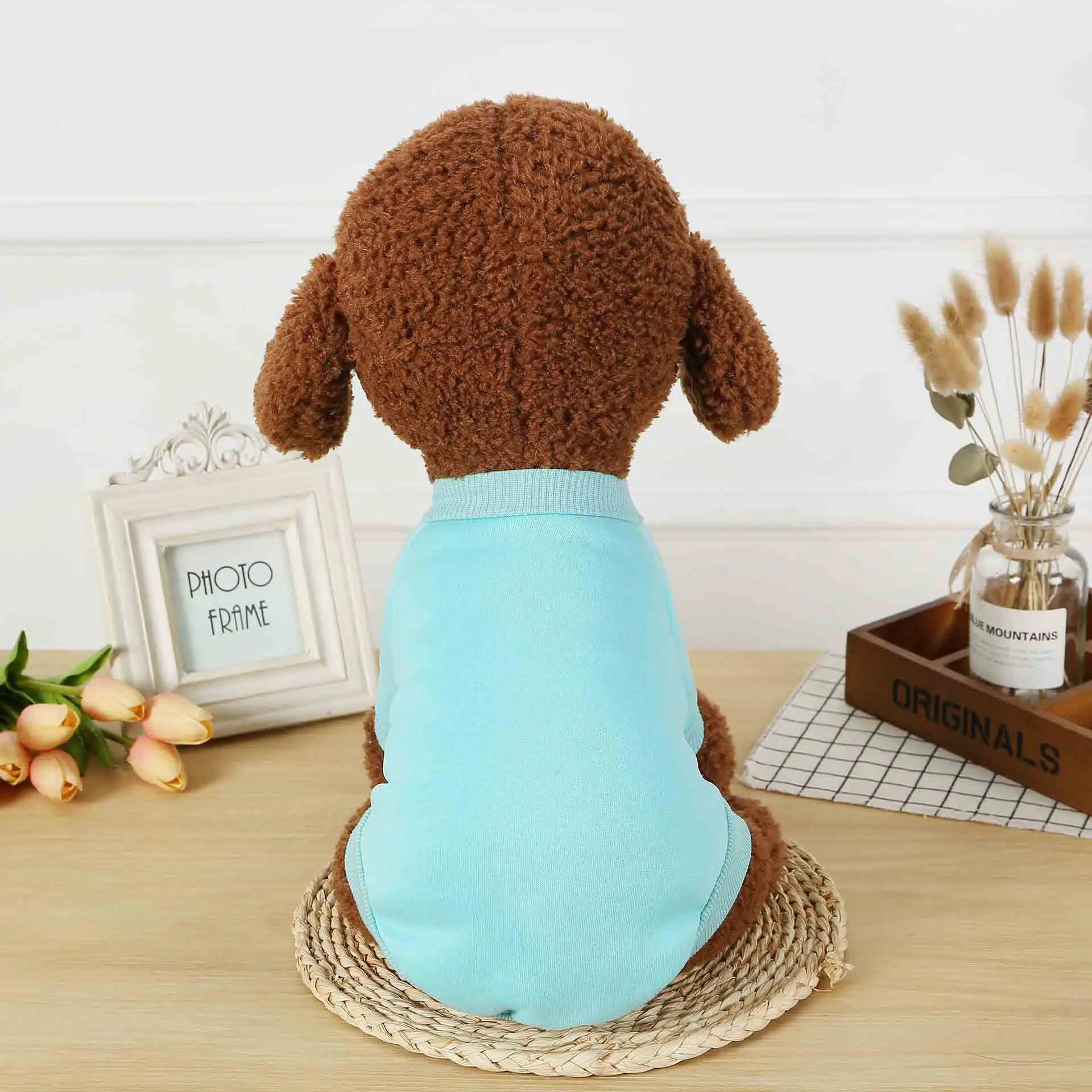 Blue Petshy одежда для маленькой собаки щенок кошка удобный однотонный Хлопок Весна Осень Одежда Футболка Домашние животные наряд свитер для йоркширского терьера - Цвет: Blue