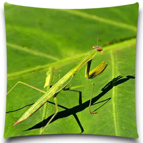 Квадратная наволочка для дивана Spider/Frog декоративная из хлопка/полиэстера | Дом и