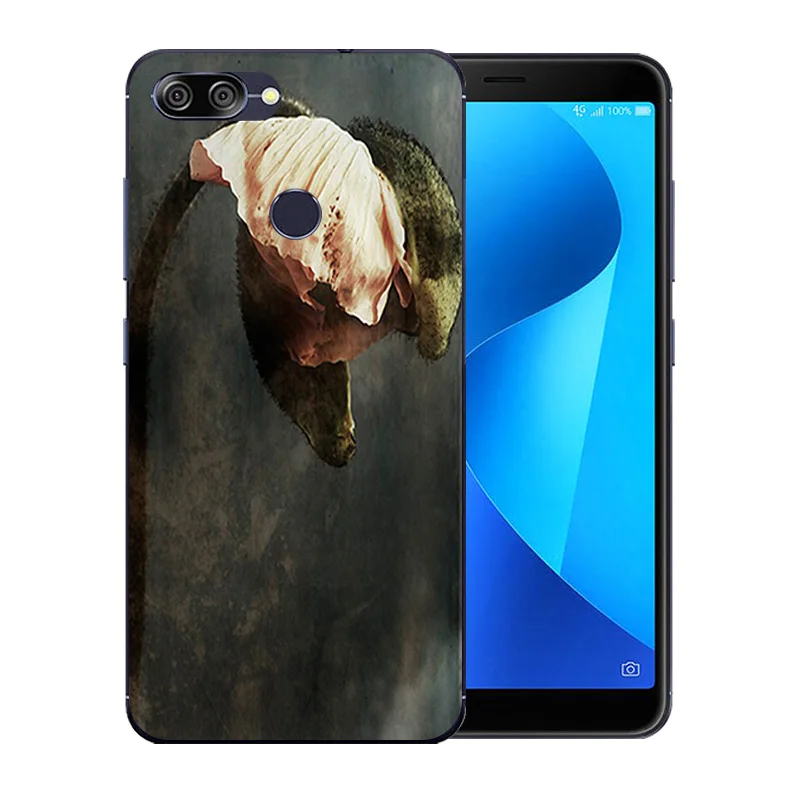 5.7 inch For Asus ZenFone Max Plus M1 ZB570TL Clear Back Cover Blossom Pattern Zenfone Plus(M1) X018DC Slim Case |