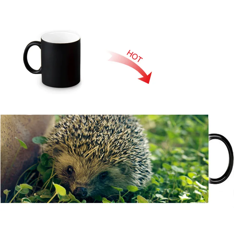 Волшебная кружка hedgehog меняющая цвет чая керамическая под заказ кофейные
