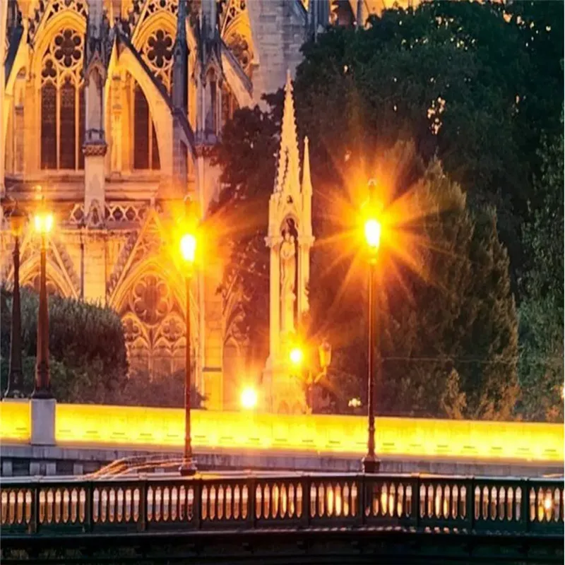 Custom Wall Paper 3D HD France Notre Dame De Paris Night View Color Photo Wallpaper Black and White Mural Murals | Обустройство дома