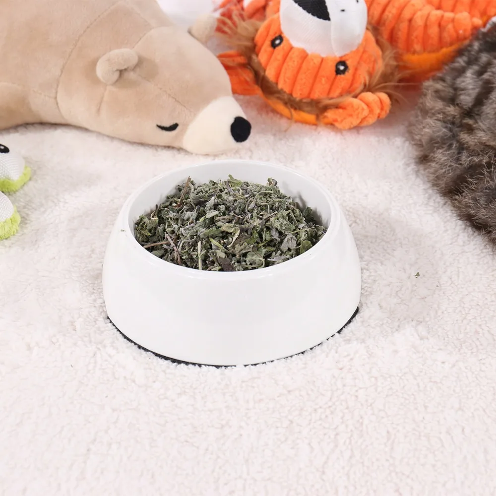 Catnip игрушка кошка 10 г/упак. натуральный здоровый нетоксичный питомец чистка зубов путешествия закуска для котенка Catmint игрушка для питомца