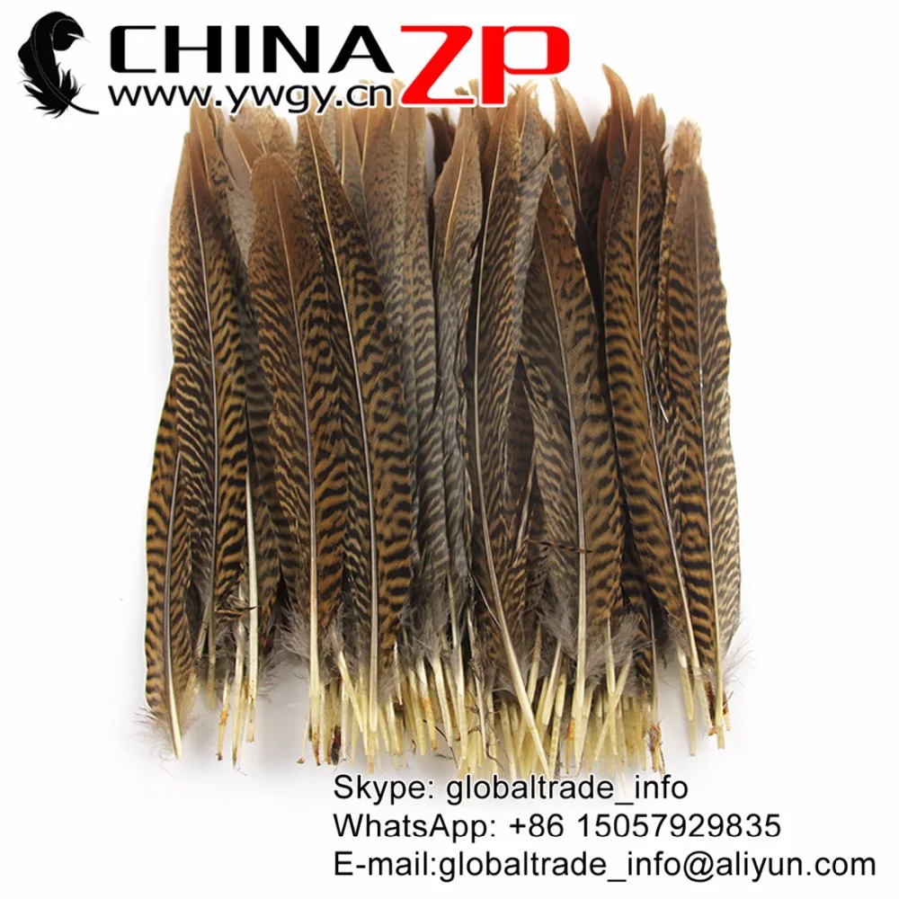 Перья CHINAZP 20 ~ 25 см (8 10 дюймов) короткий размер натуральный Золотой фазан