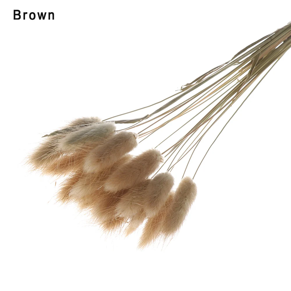 brown Новинка, 20 шт., кролик, хвост, трава, Натуральные сушеные цветы, искусственные украшения, Цветочная композиция, лагурус оватус, настоящая трава, букет, реквизит - Цвет: brown