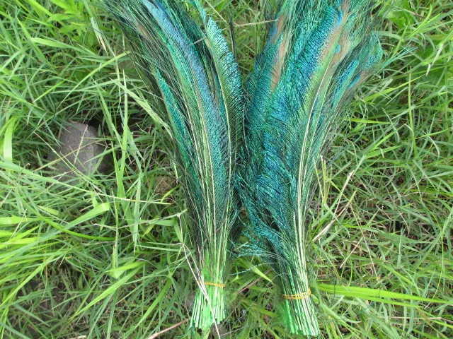 Новинка! 10 шт. натуральные перья павлина 12 14 дюймов/30 35 см|natural peacock feather|peacock